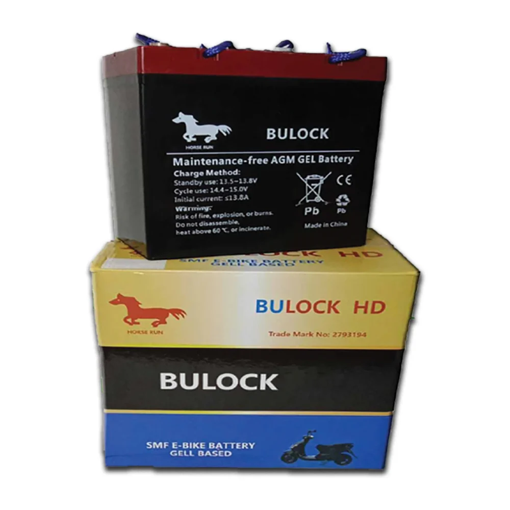 BULOCK 580 – 12V 58Ah Maintenance-Free AGM GEL Battery for E-VAN & Electric Utility Vehicles